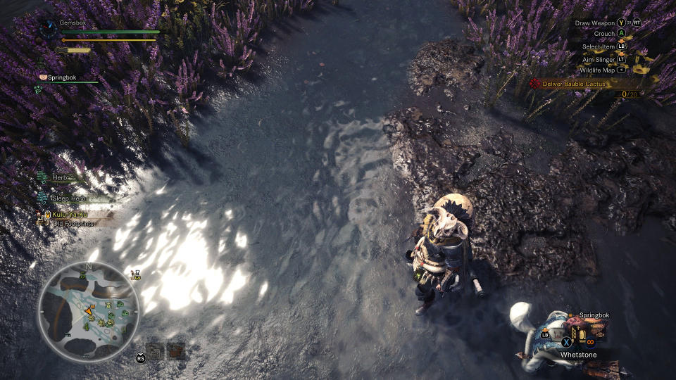 Monster Hunter World Water Reflection Off